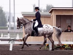 Horse Trainer Redmond, WA